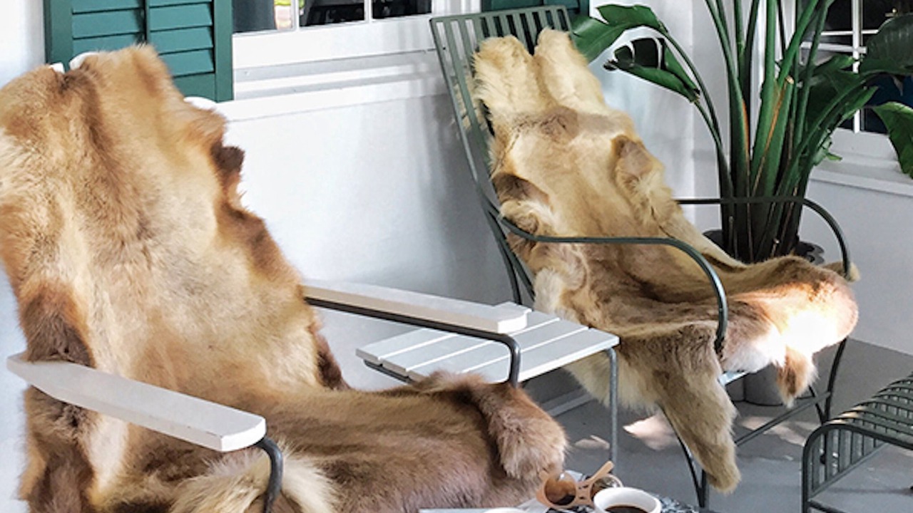 Photo of Others in Village of East Hampton