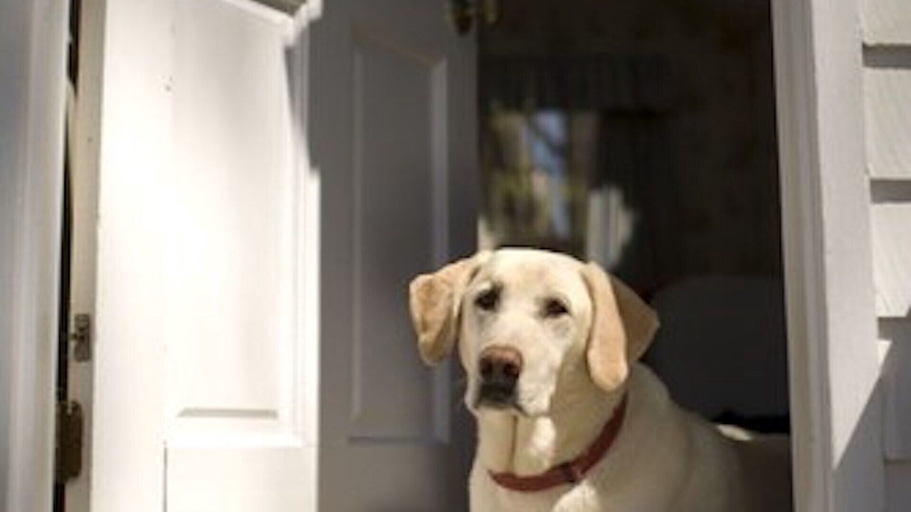 Photo of Others in Village of East Hampton