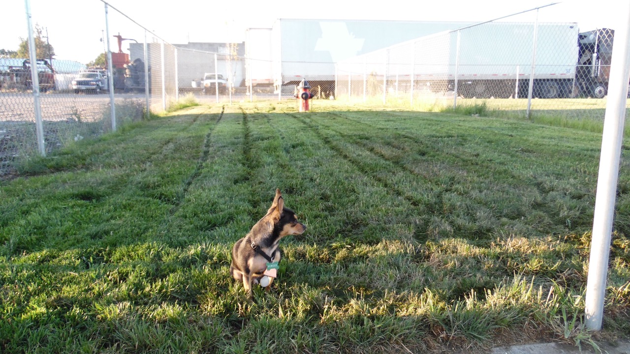 Photo of Others in Hermiston