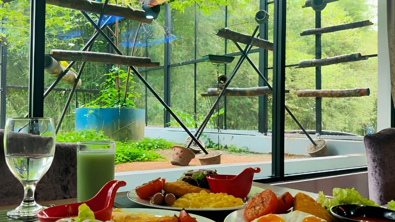 Photo of Others in Brisu