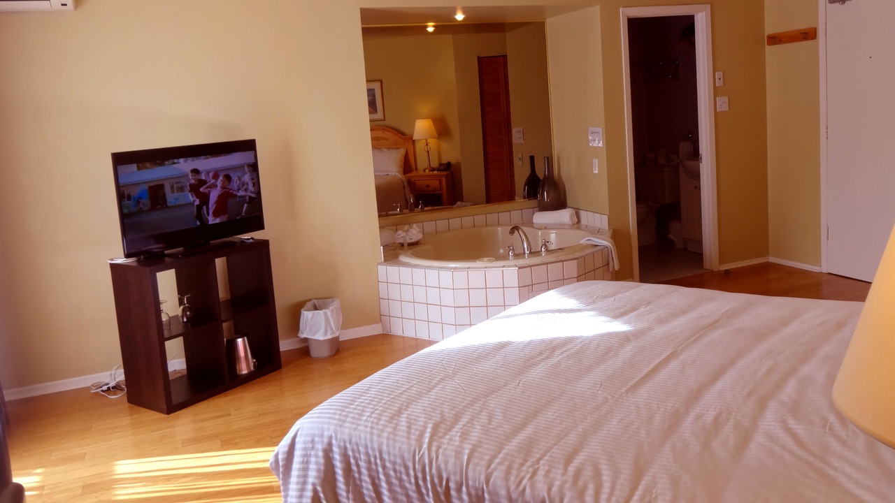 Photo of Livingroom in Morin Heights