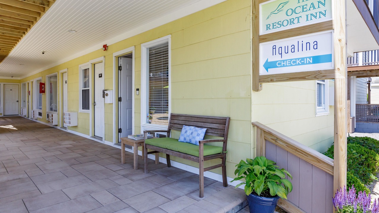 Photo of Outdoor in Montauk