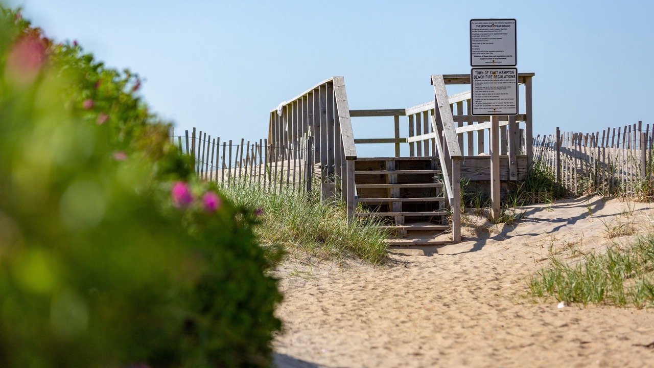 Photo of Others in Montauk
