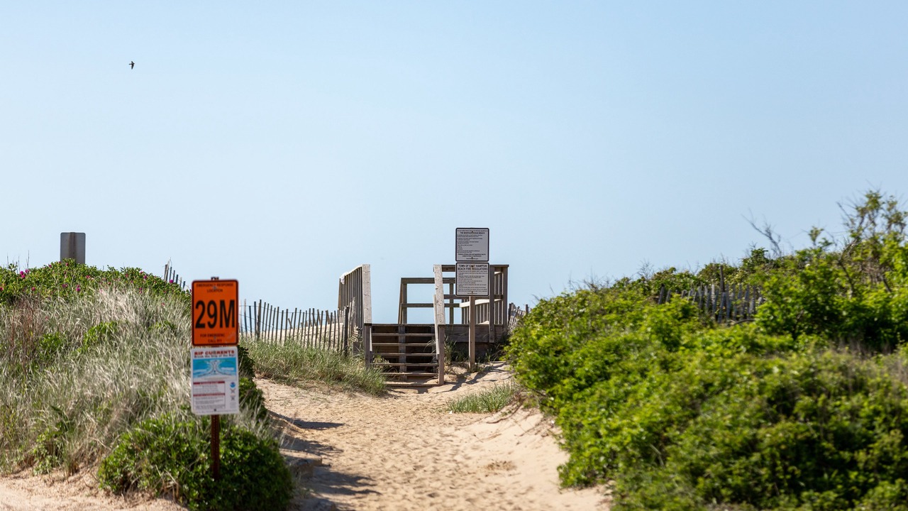 Photo of Others in Montauk