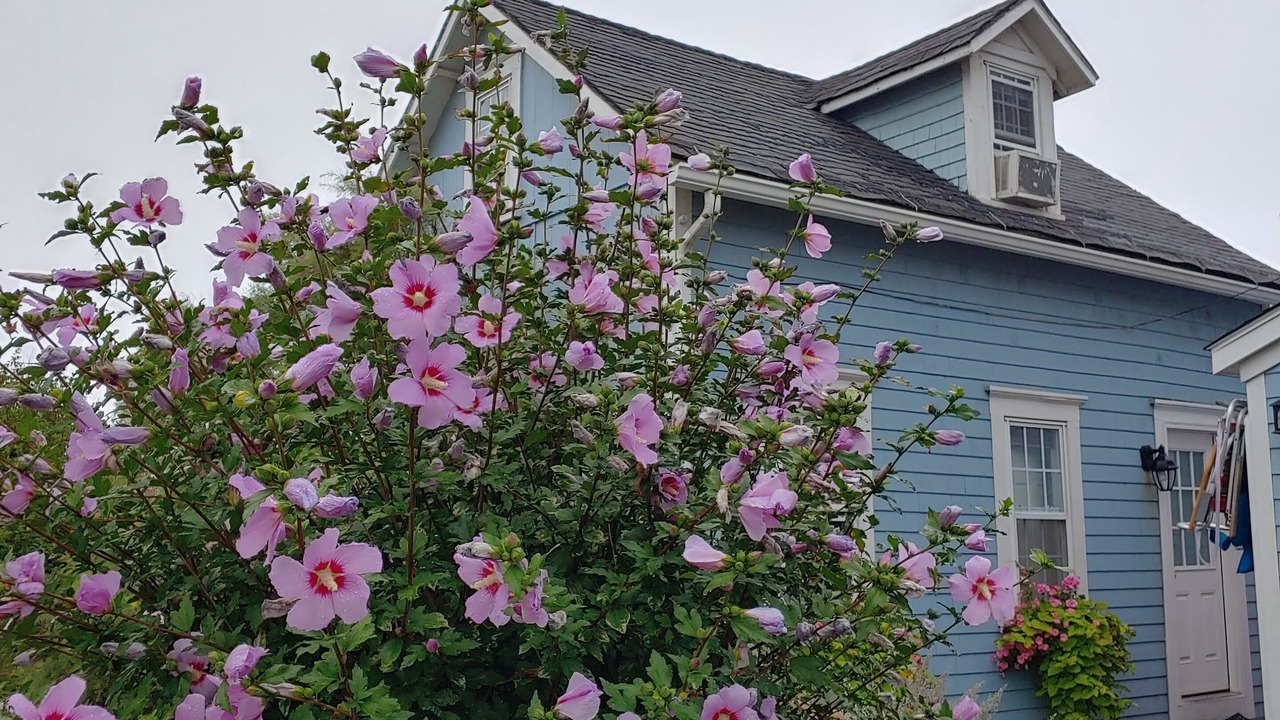 Photo of Outdoor in Block Island