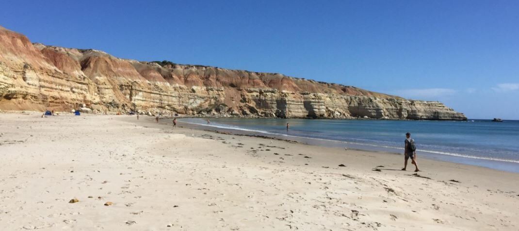 Photo of Others in McLaren Vale