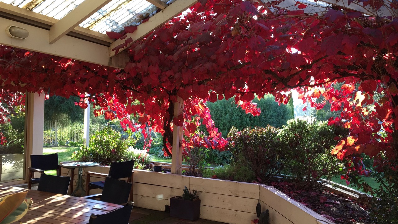 Photo of Patio Balcony in McLaren Vale