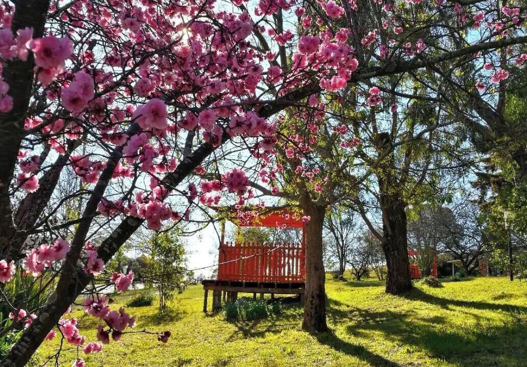 Photo of Outdoor in Braemar