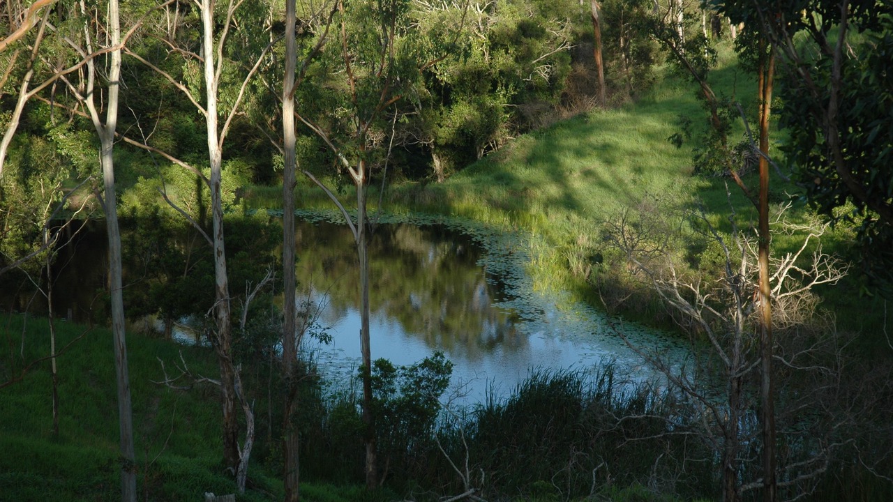 Photo of Bedroom in Witta
