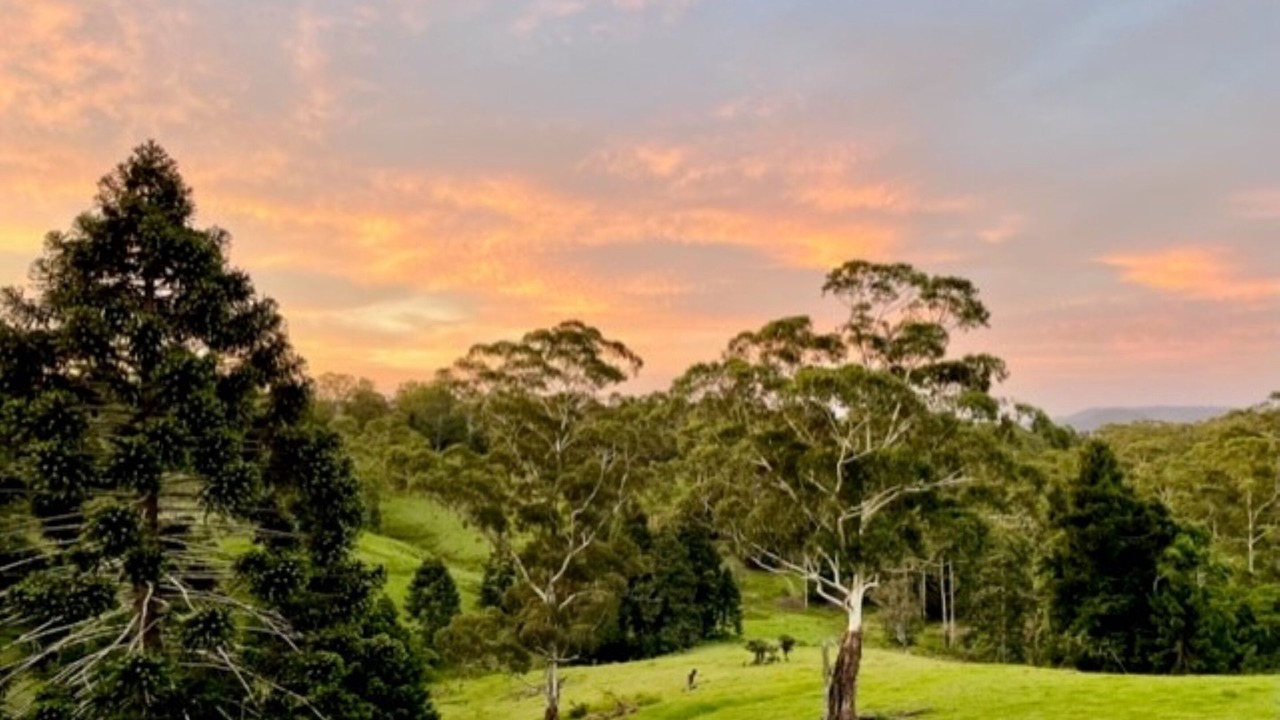 Photo of Outdoor in Witta