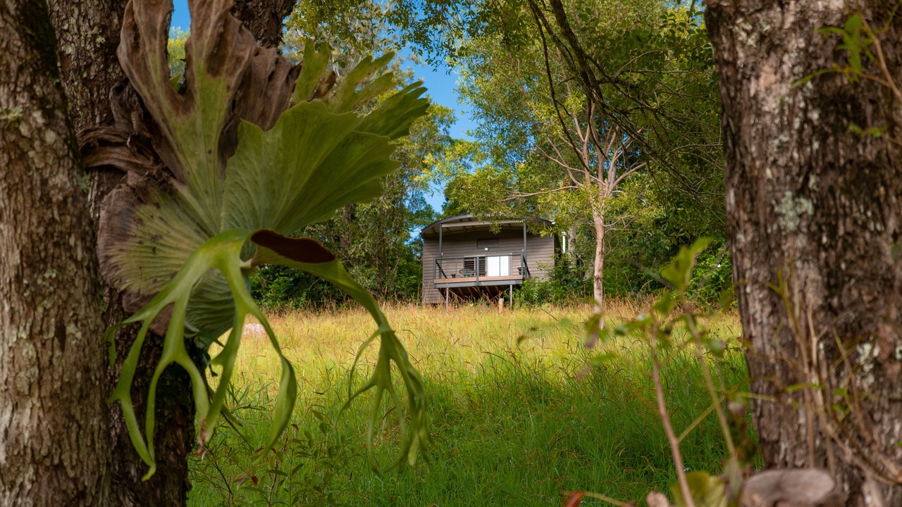 Photo of Others in Witta