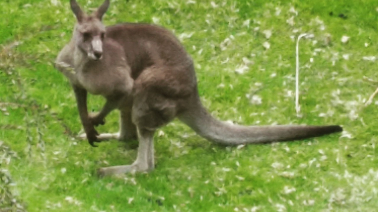 Photo of Outdoor in Arthurs Seat
