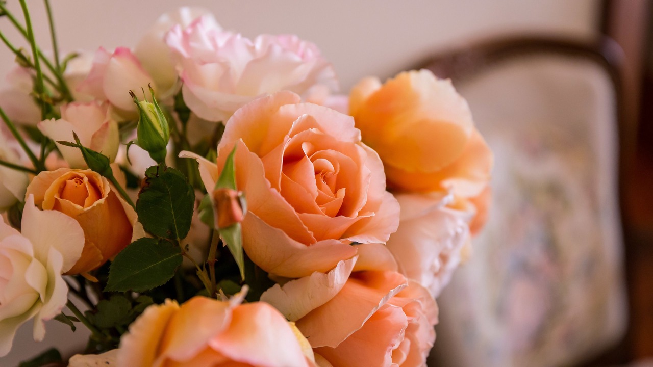 Photo of Others in Tanunda