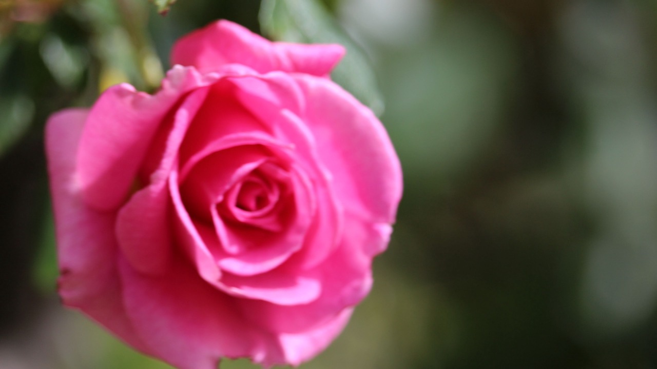 Photo of Outdoor in Tanunda