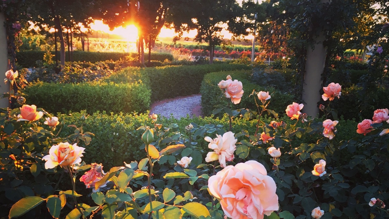 Photo of Outdoor in Tanunda