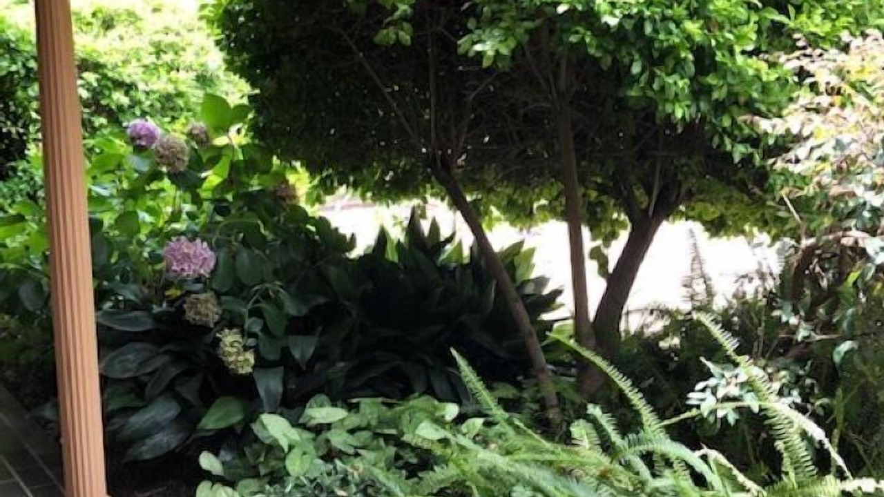 Photo of Outdoor in Muswellbrook