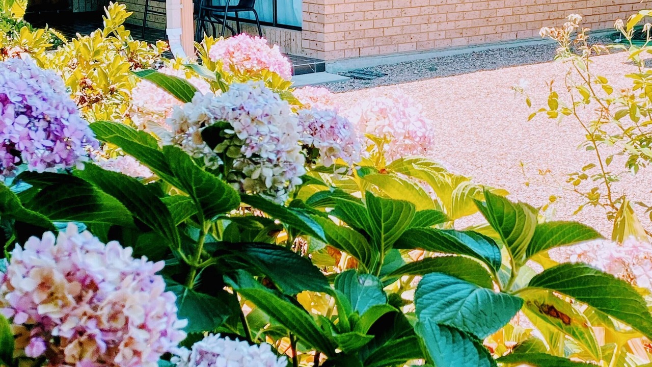 Photo of Outdoor in Muswellbrook