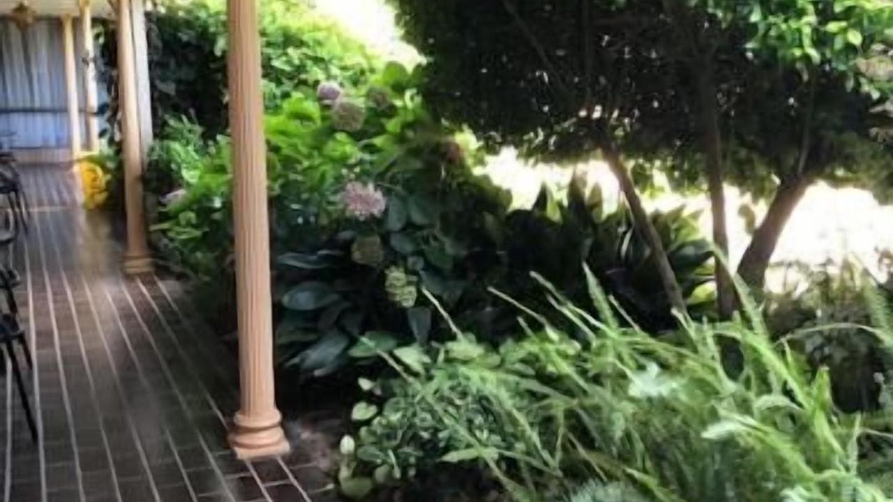 Photo of Outdoor in Muswellbrook