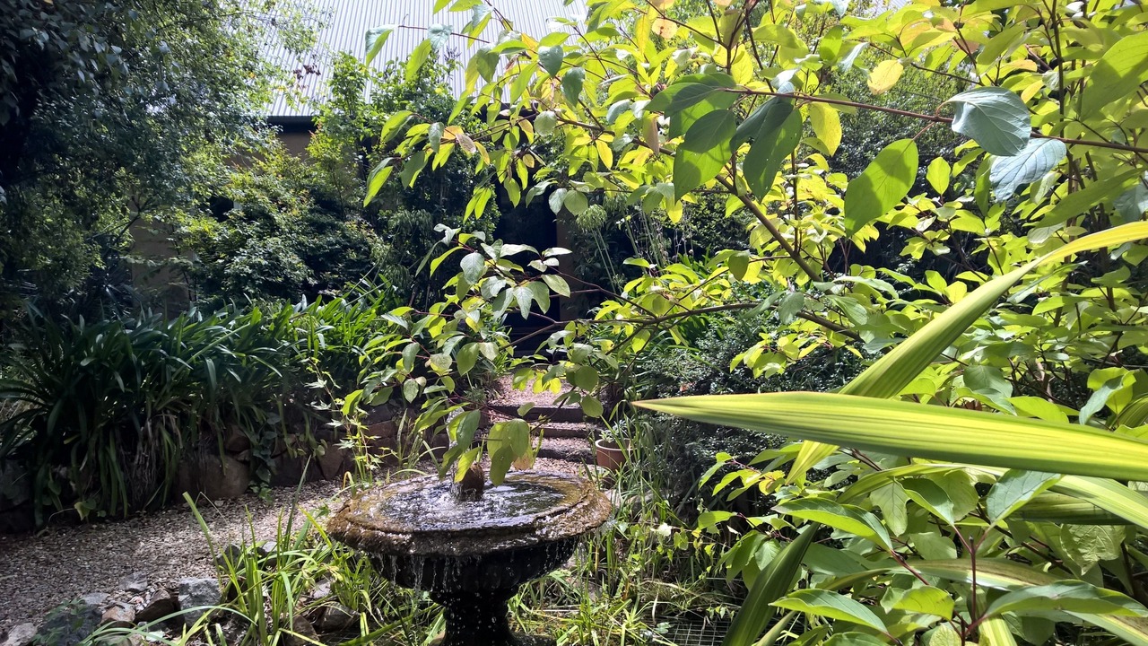 Photo of Outdoor in Bright