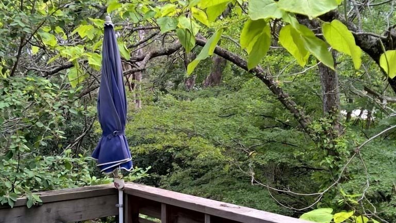 Photo of Patio Balcony in Bright