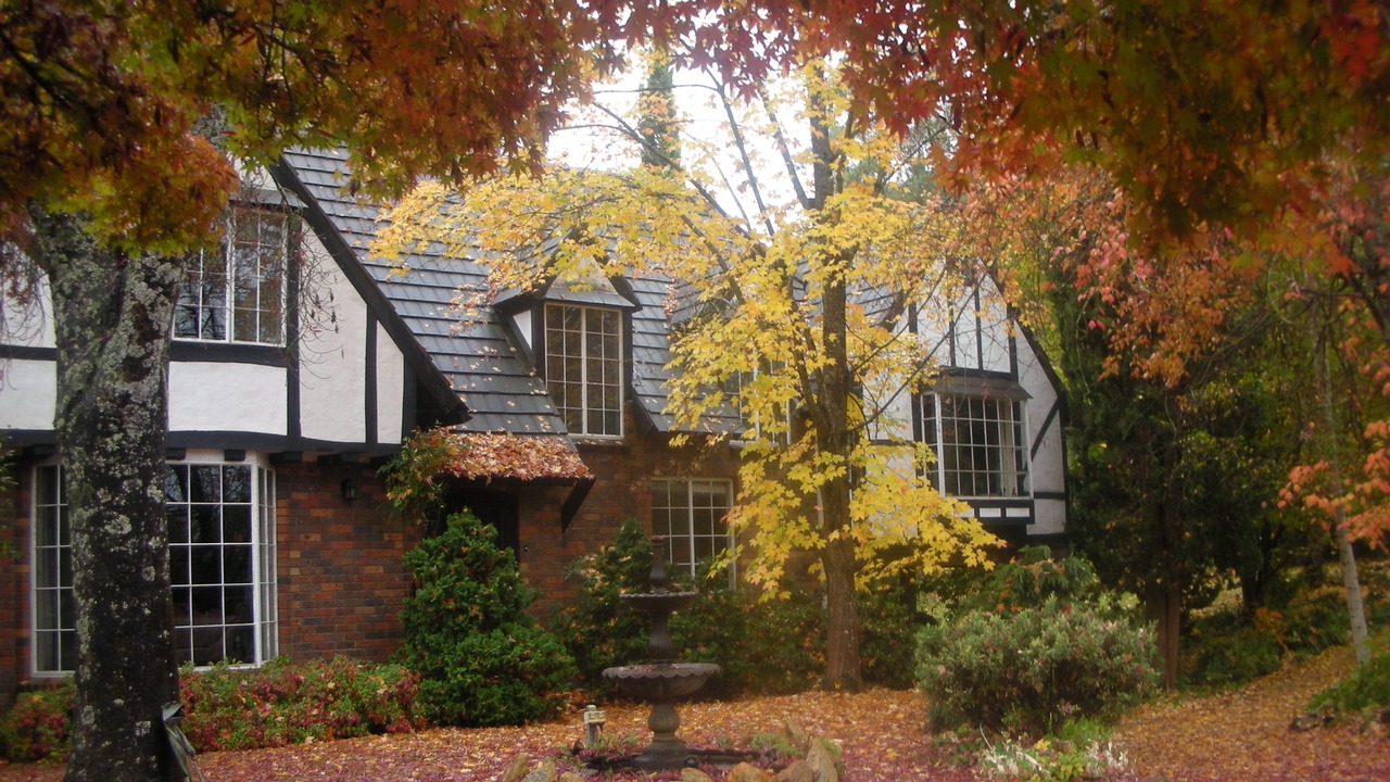 Photo of Outdoor in Bright