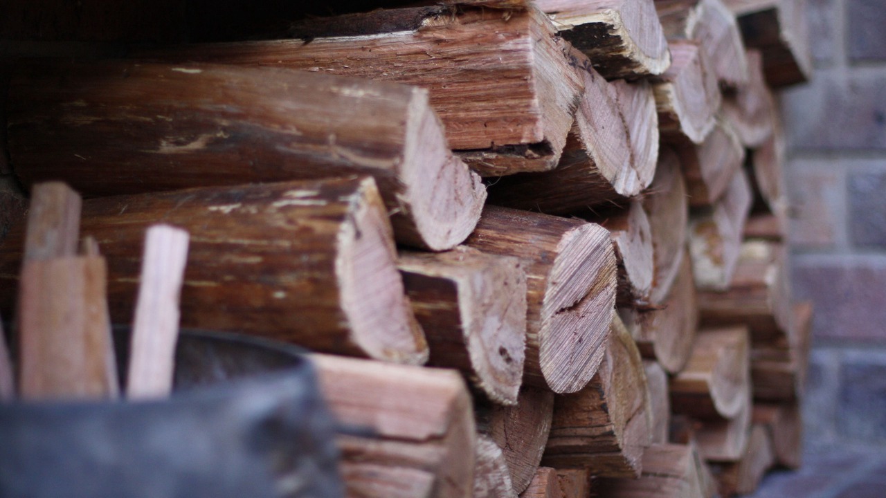 Photo of Others in Bright