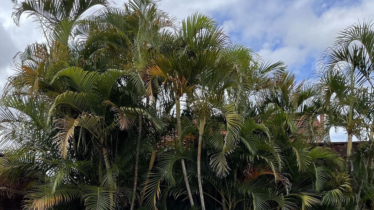 Photo of Outdoor in Bulahdelah