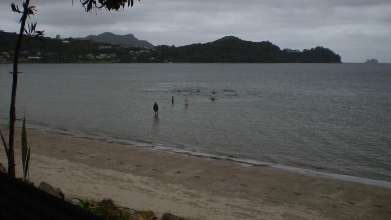 Photo of Others in Whitianga