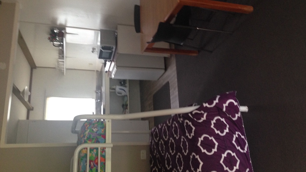 Photo of Others in Whitianga