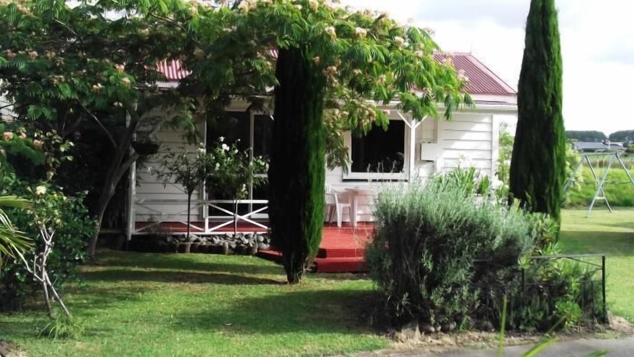 Photo of Outdoor in Whitianga