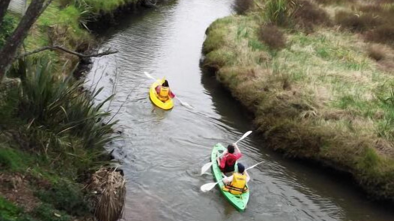 Photo of Others in Whitianga