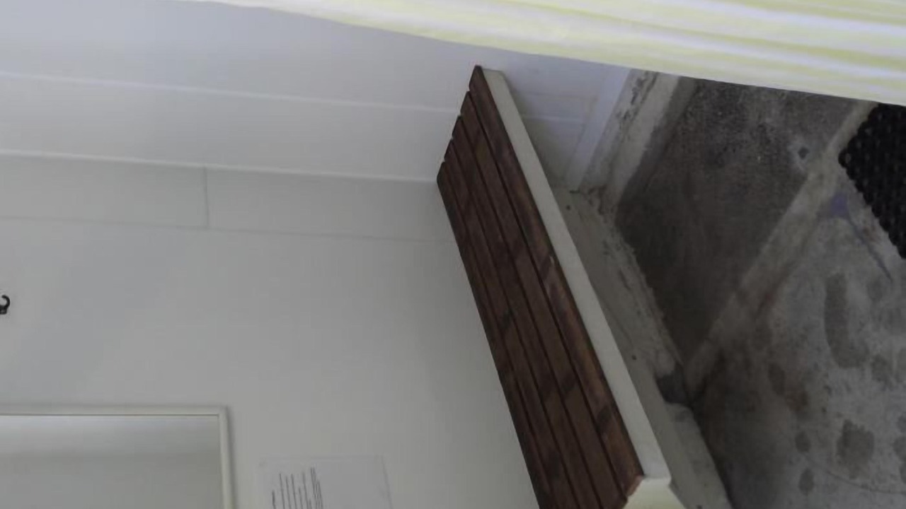 Photo of Others in Whitianga