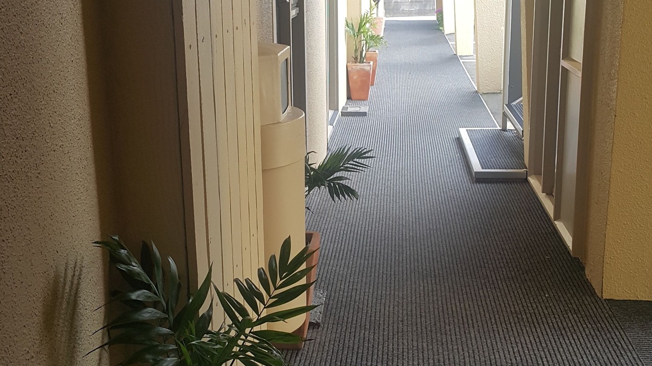 Photo of Others in New Plymouth