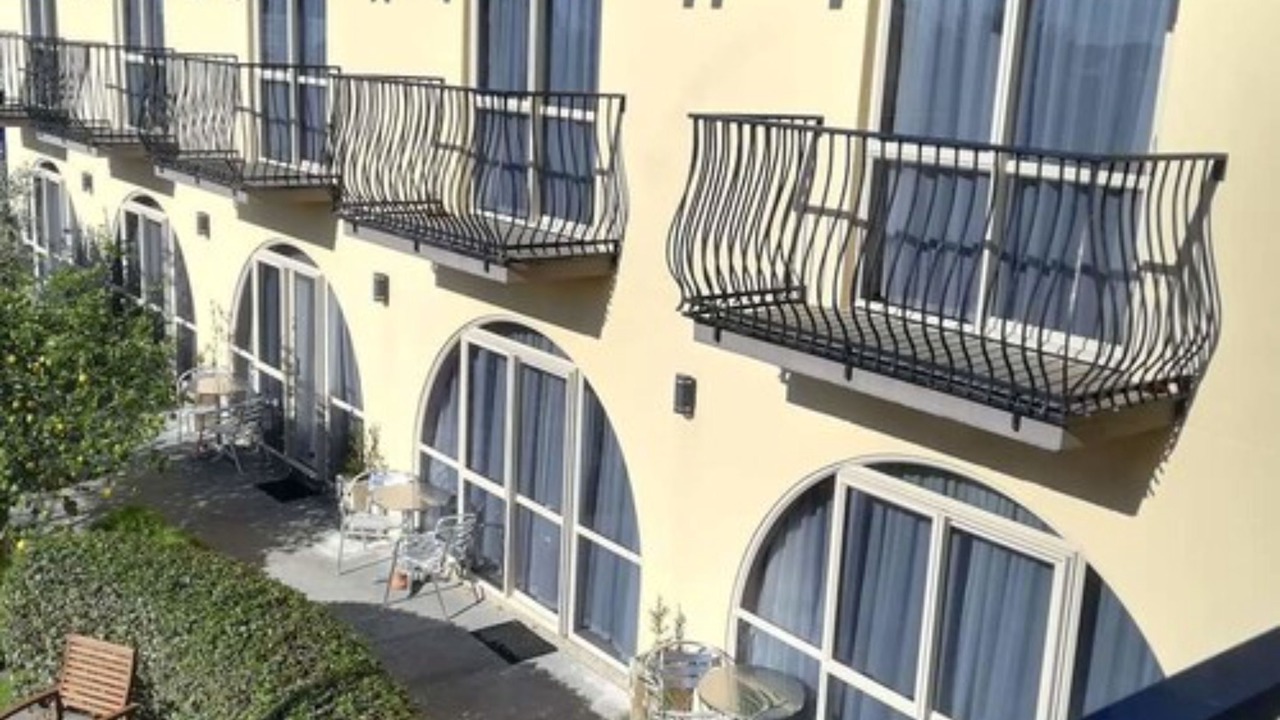 Photo of Others in New Plymouth