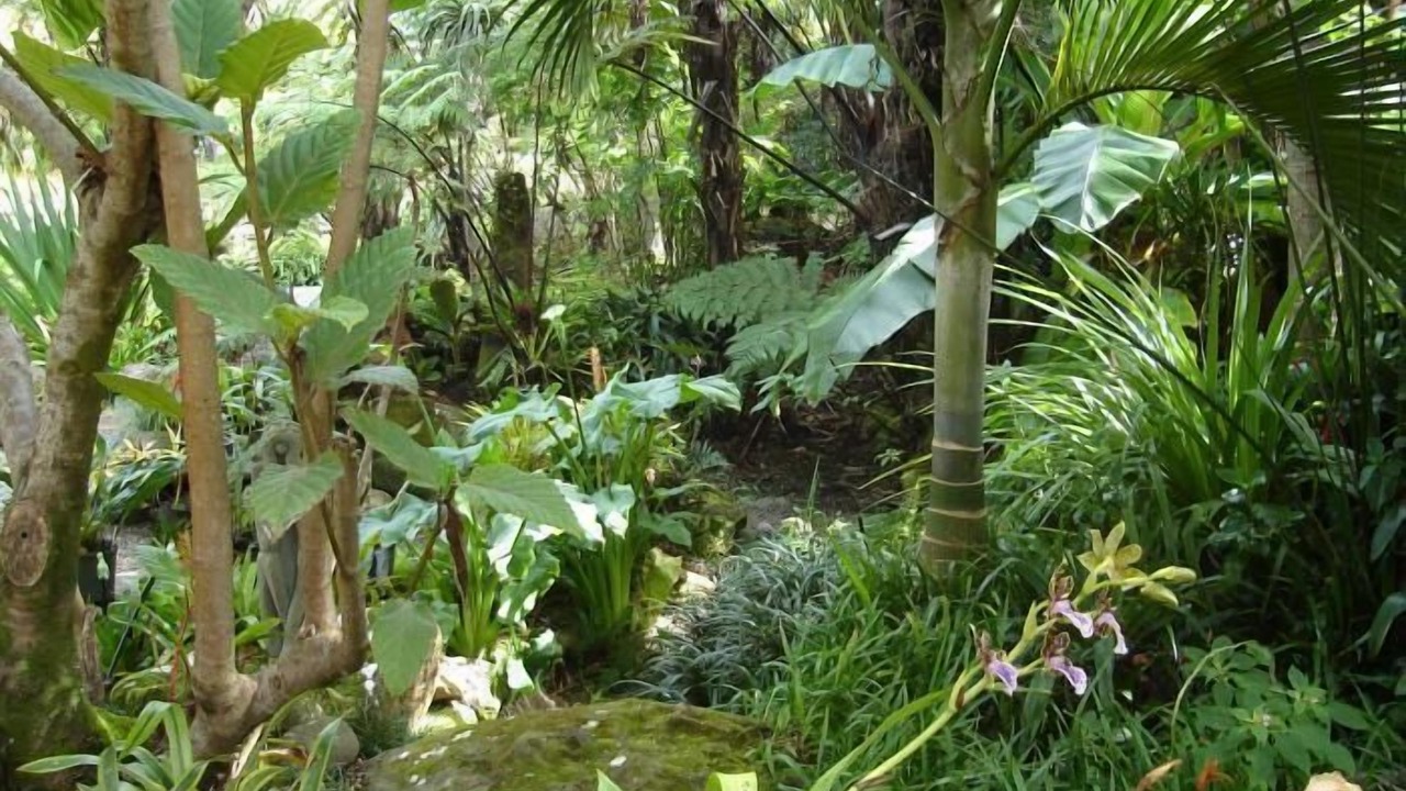 Photo of Outdoor in Kerikeri