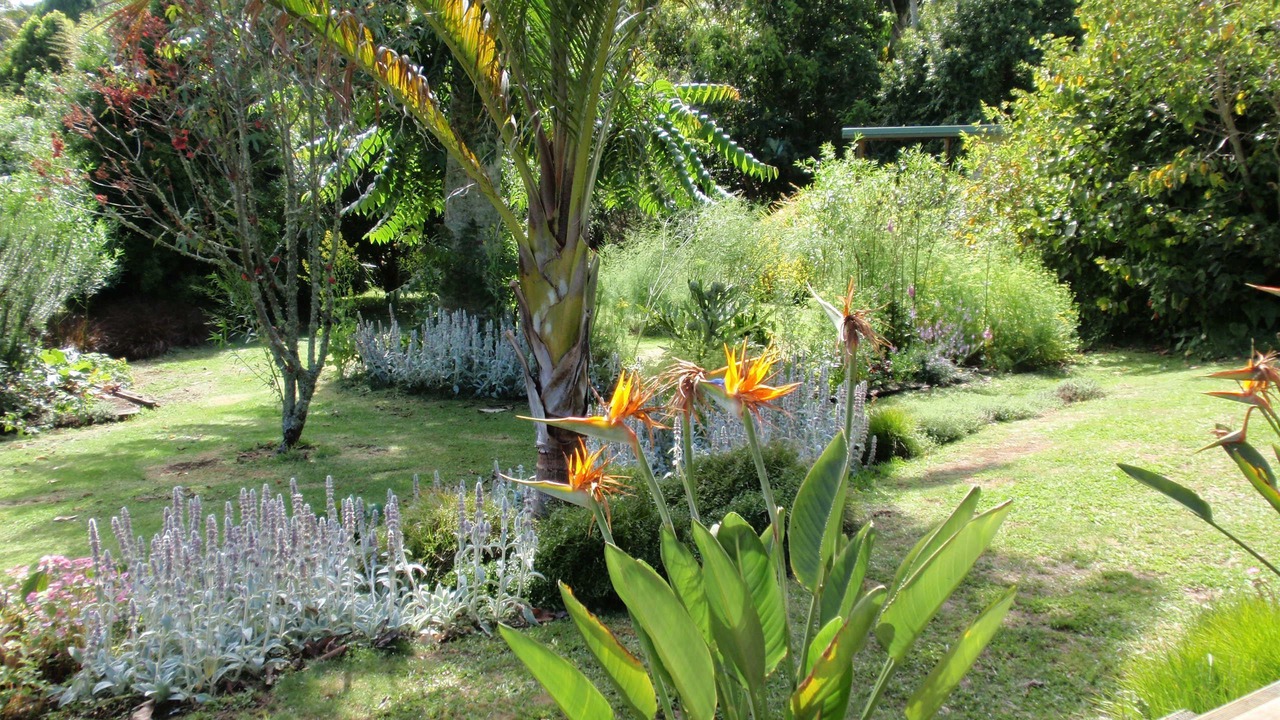 Photo of Others in Kerikeri