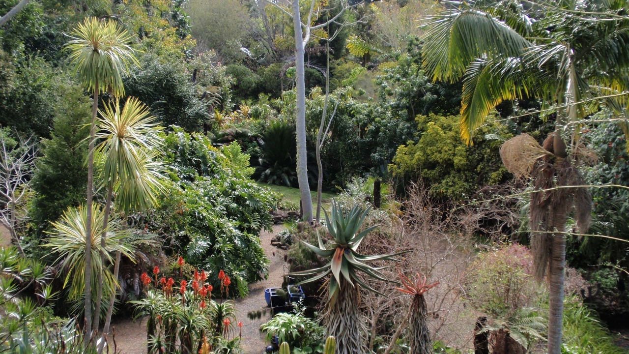 Photo of Others in Kerikeri