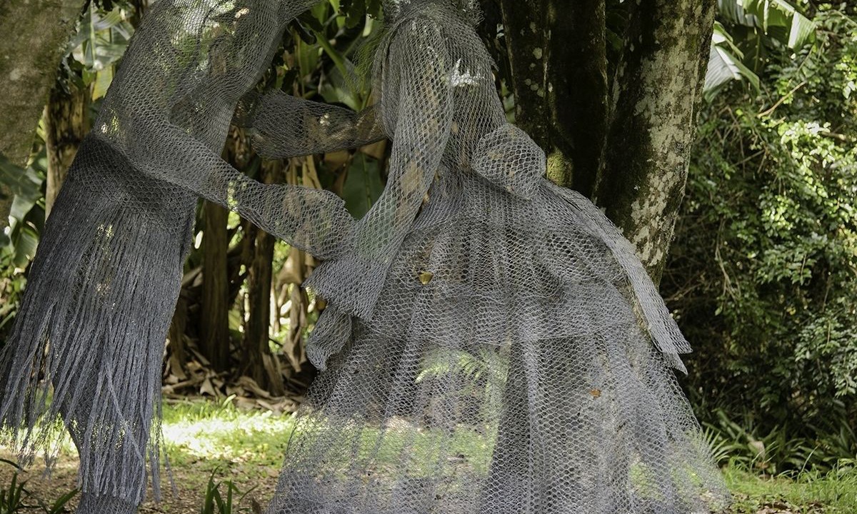 Photo of Outdoor in Kerikeri