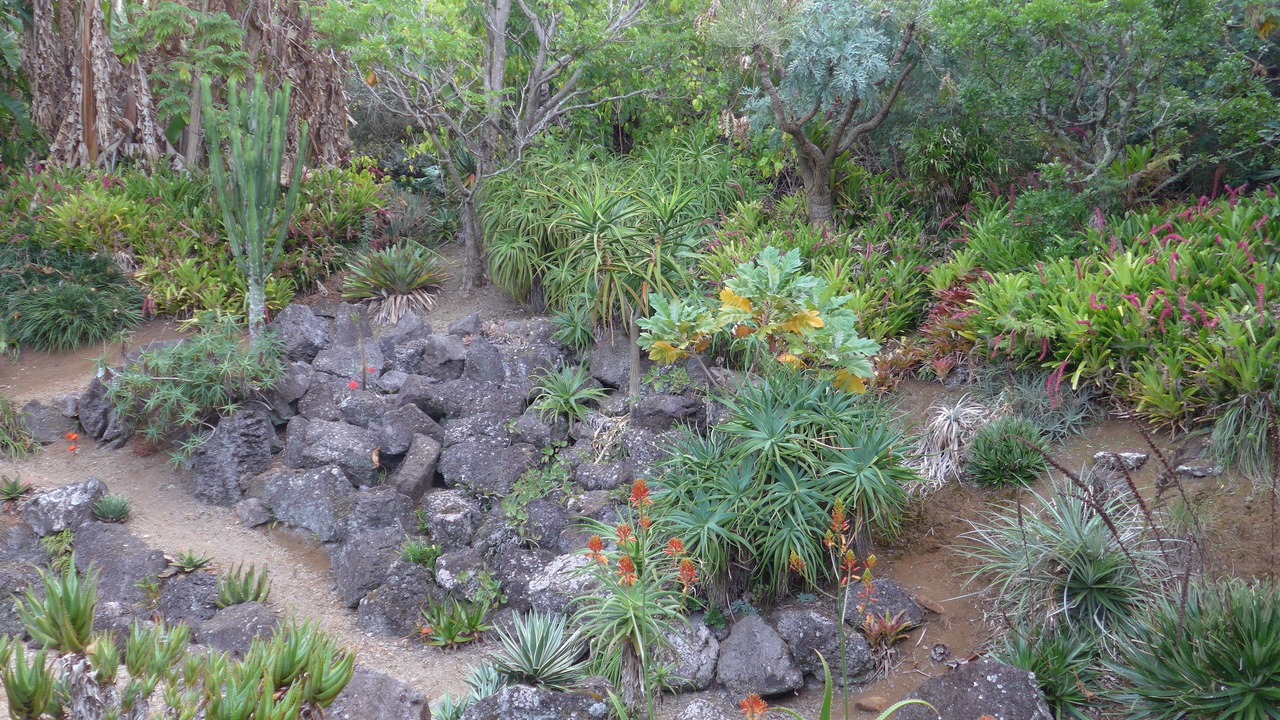 Photo of Others in Kerikeri