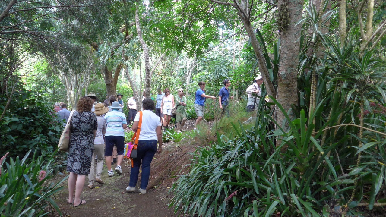 Photo of Others in Kerikeri