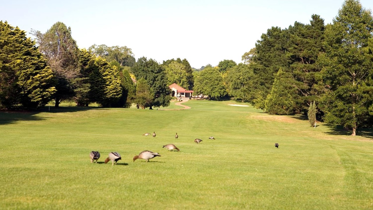 Photo of Others in Moss Vale