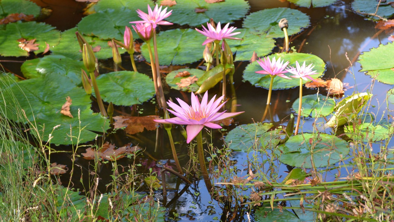 Photo of Outdoor in Salisbury