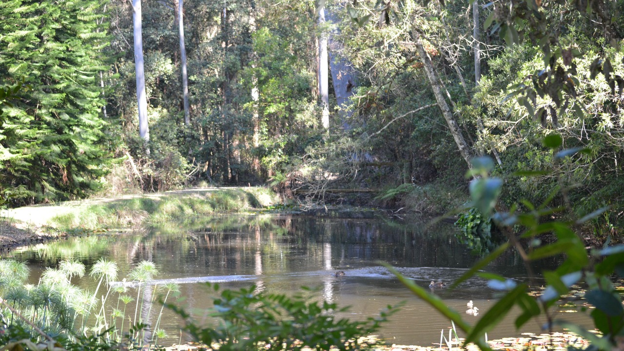 Photo of Outdoor in Salisbury