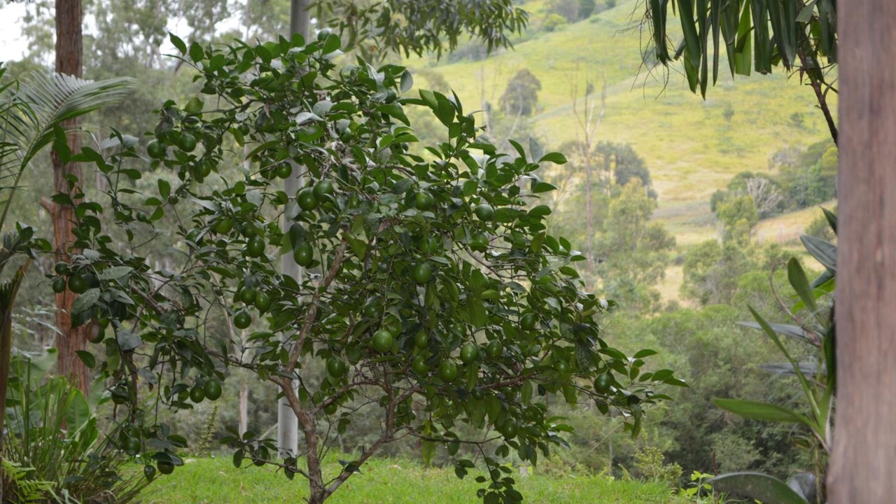 Photo of Outdoor in Salisbury