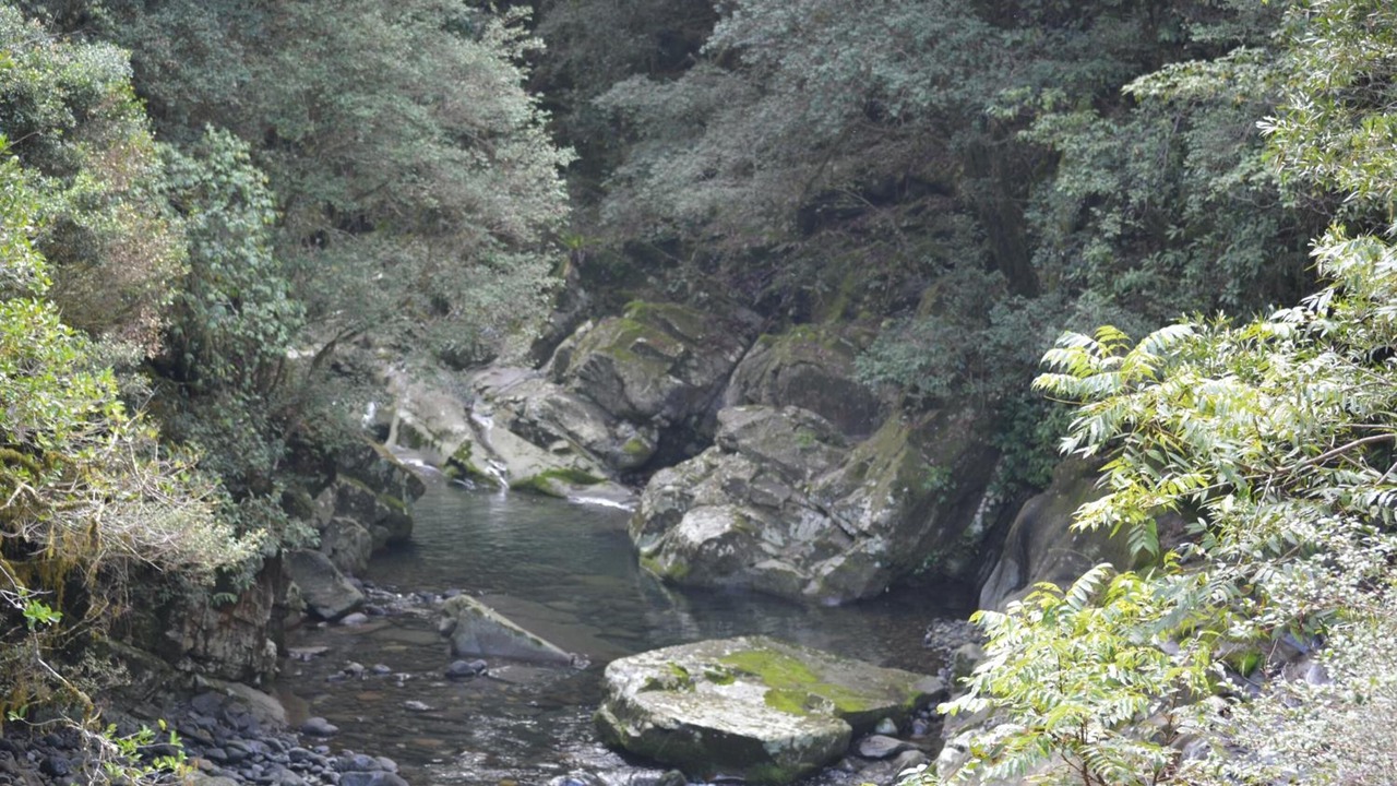 Photo of Outdoor in Salisbury