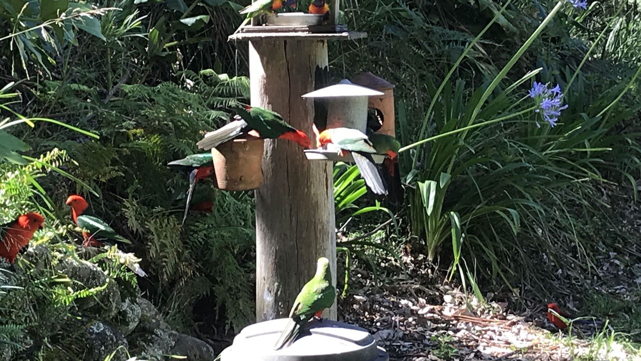 Photo of Outdoor in Salisbury