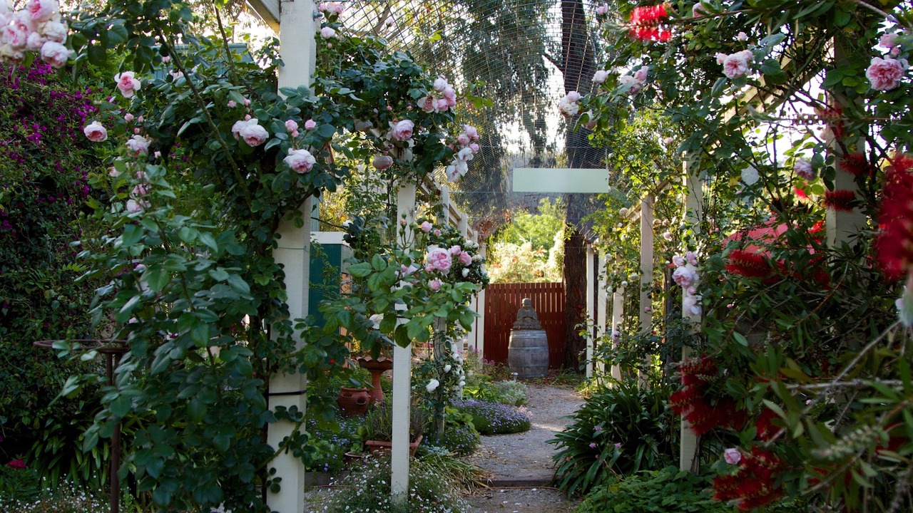 Photo of Outdoor in Yarra Glen