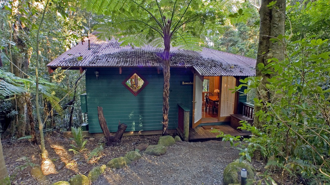 Photo of Others in Springbrook