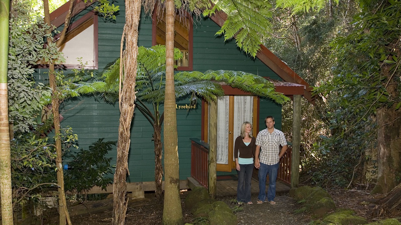 Photo of Outdoor in Springbrook