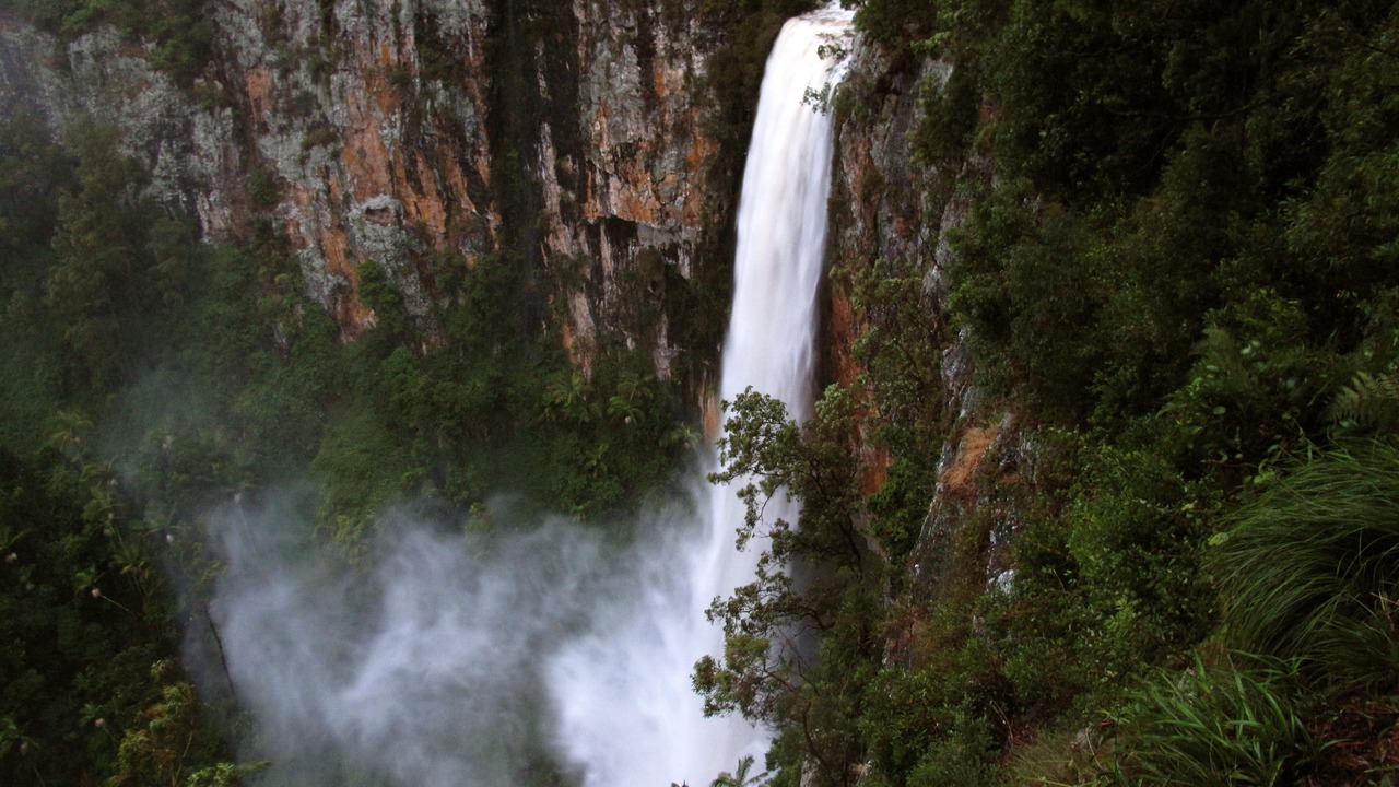 Photo of Others in Springbrook